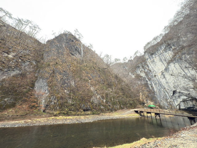 花卷盛岡自駕遊