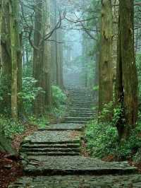 🍃 熊野古道 | 心を浄化する癒しの旅 🧘‍♀️✨