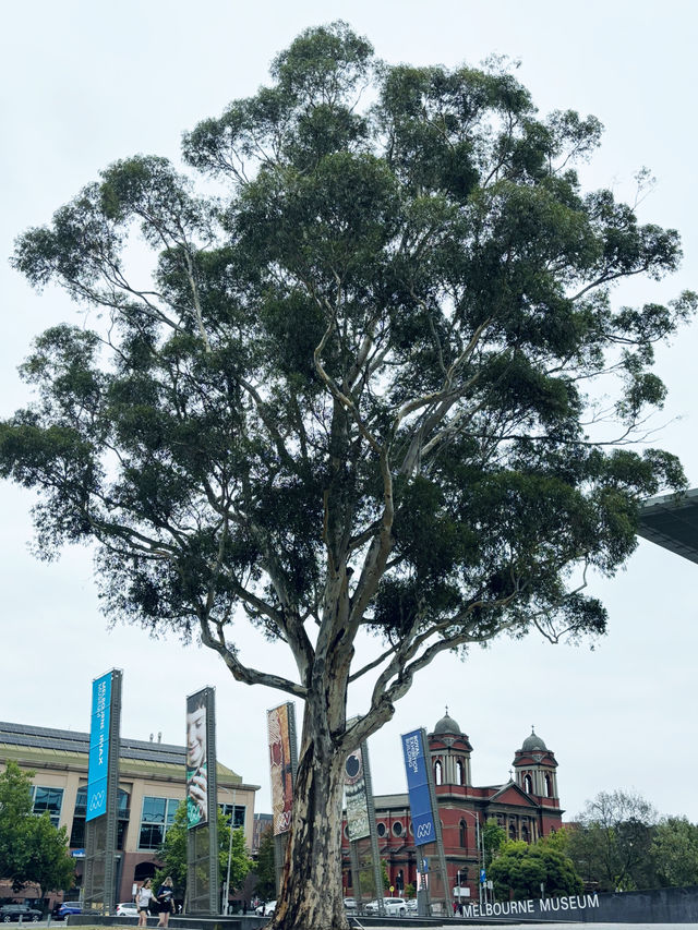 【Super Short Stroll TOUR in Melbourne Day1 】