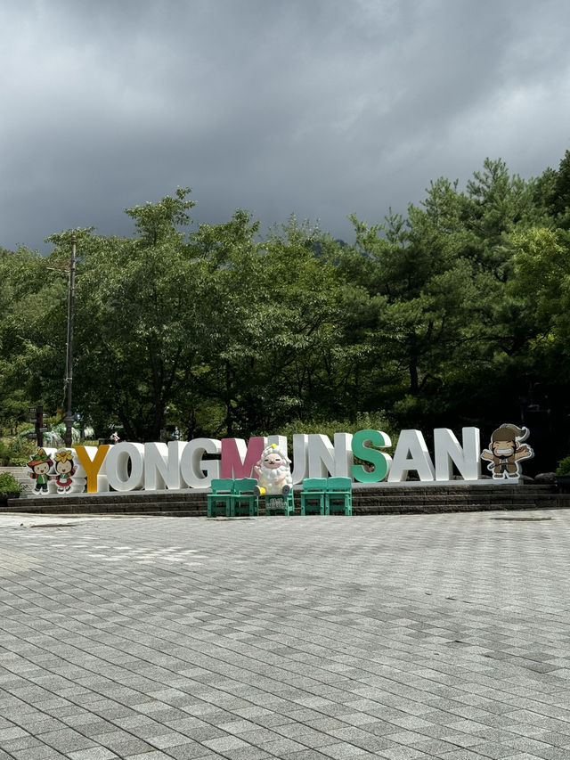 🏞️ 양평에서 보내는 1박2일 힐링 여행! (숨겨진 사진명소까지!)