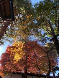 介紹日本岐阜縣飛驒高山
