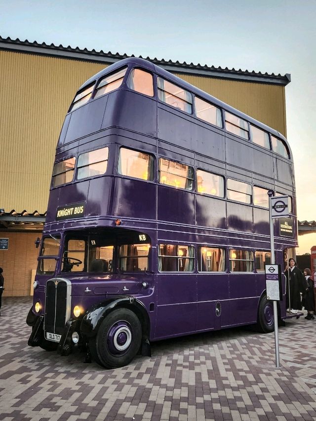 An Amazing Experience for Harry Potter Fans!
