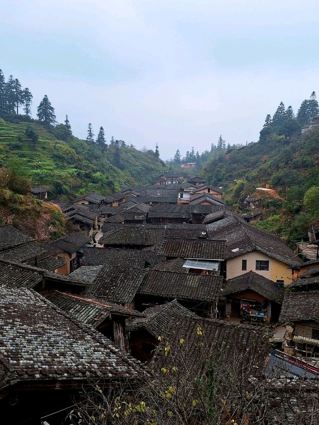 Dingwuling🌳🍁เสน่ห์แห่งชนบทที่ยังเหลืออยู่