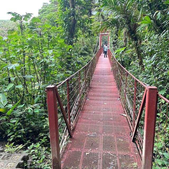 Costa Rica’s Monteverde Cloud Forest – A Lush Eco-Paradise