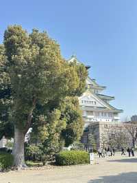 พาเที่ยวปราสาทโอซะกะ (Osaka Castle)