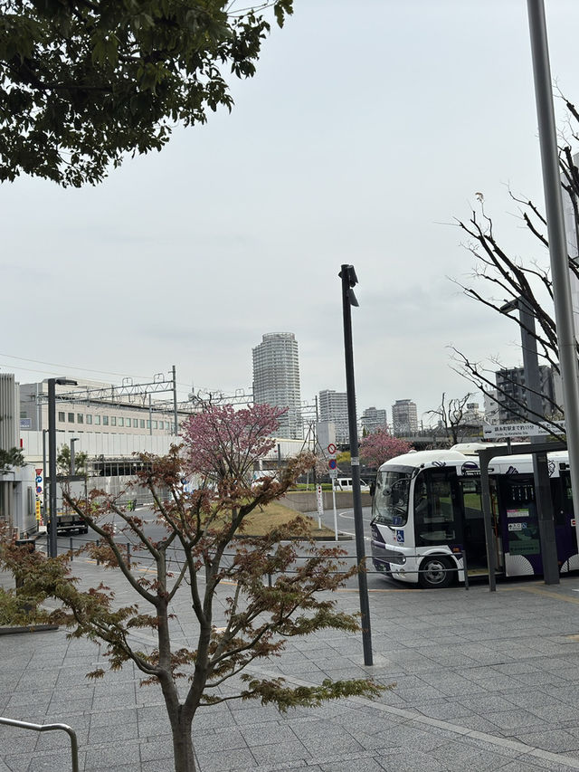 東京｜押上櫻花一日遊 🌸