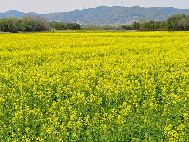 Archaeological Ruins of Liangzhu City– China’s 5,000-Year-Old Civilization Unveiled