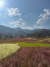 Walk Through the Heart of Pai