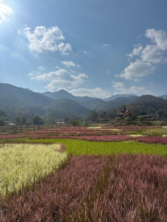 Walk Through the Heart of Pai