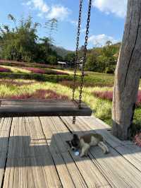 Walk Through the Heart of Pai