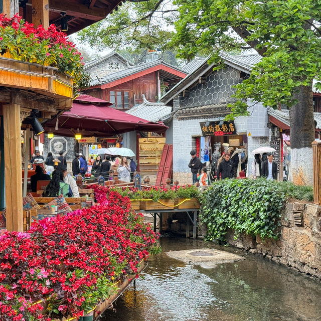พาเดิน เมืองโบราณ Lijiang Ancient Town🇨🇳