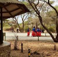 Tarangire 國家公園入口｜壯闊草原探險的起點