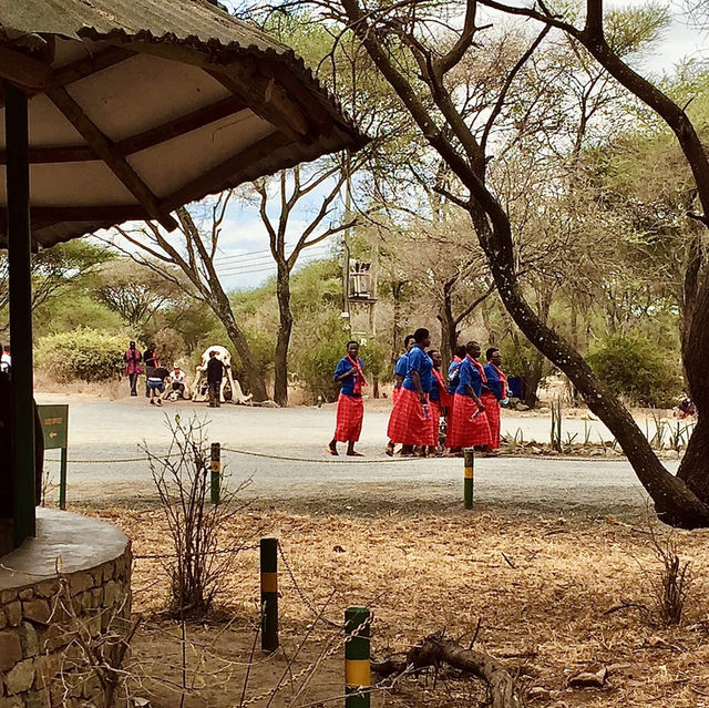 Tarangire 國家公園入口｜壯闊草原探險的起點