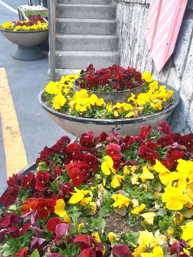 A CHARMING WALK THROUGH GAMCHEON SLOPES AND ALLEYS