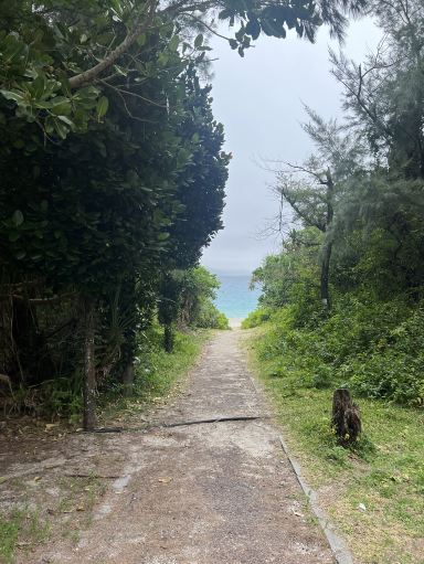 Slow days-inOkinawa🌺Zamami lsland | Trip.com 座間味