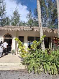 Creative Adventures at The PlayYard, Phuket