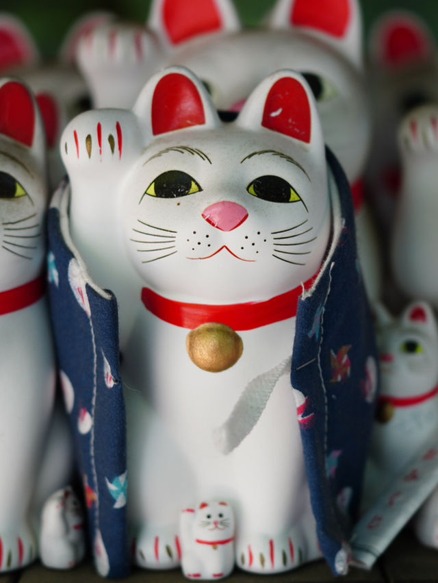 【東京】招き猫の発祥地  大小様々な猫ちゃんがぎっしり！