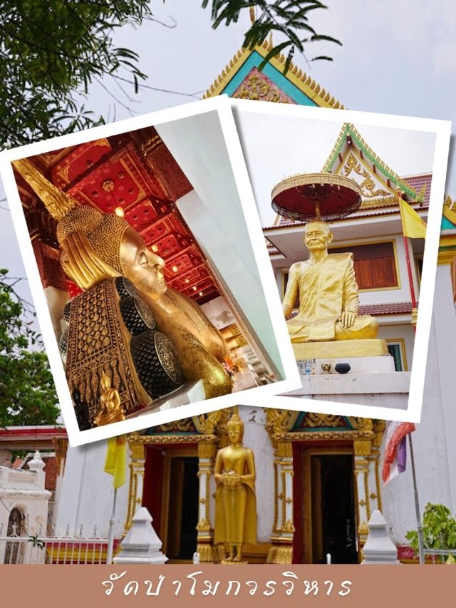 💞 วัดป่าโมกวรวิหาร