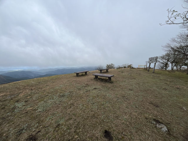 【大洞山〜尼ヶ岳】⛰️ 関西百名山