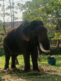#ThaiThaniCultureVillage #Pattaya #พัทยา 