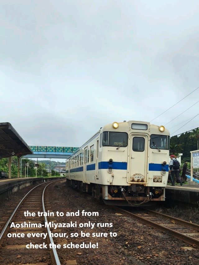 What you can do with 3 days at Miyazaki, Japan