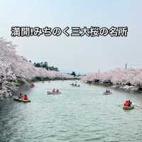 【青森】ちょうど見頃！どこを撮っても桜🌸