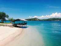 แสมสาร…ที่คิดถึง🌊