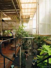 Aramour Coffee Roasters