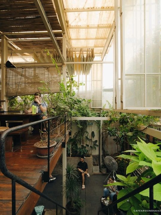 Aramour Coffee Roasters