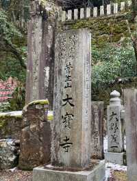 🇯🇵【愛媛】国宝（本殿）！！！大寶寺(^^)