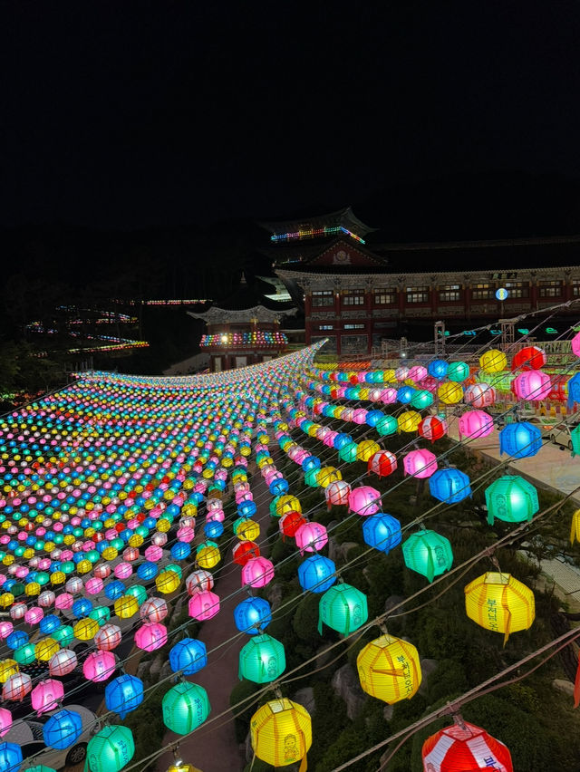 연등들이 밤하늘을 수놓는 삼광사 연등축제🏮