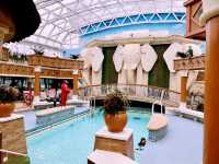 Radiance of the Seas 🌟: A Solo Traveler’s Sunlit Escape at Sea!