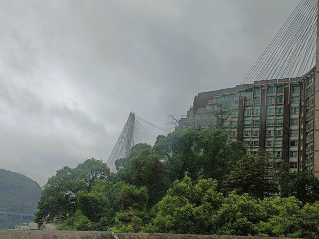 遠離塵囂，擁抱港島靜謐角落。
