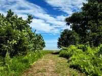 Whispers of the Wild: Sharing Thoughts After an Unforgettable Journey to Bako National Park