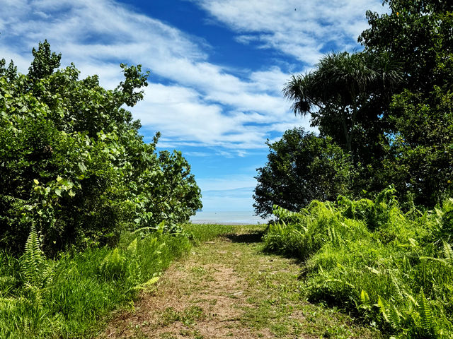 Whispers of the Wild: Sharing Thoughts After an Unforgettable Journey to Bako National Park