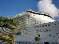 Oasis of the Seas: My Wild, Watery Adventure (Plus a Secret Spot You CAN’T Miss!)" 🌊🚢✨