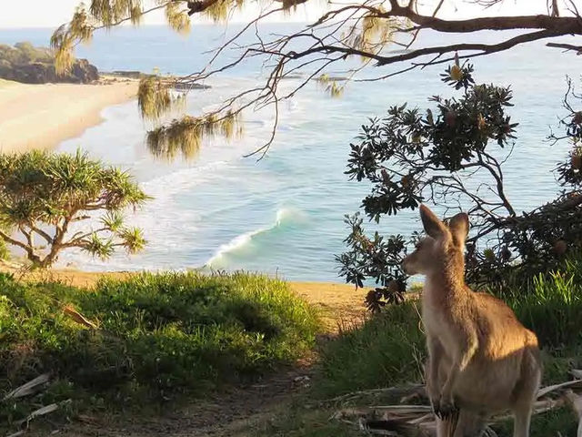 🏖️🌊 Brisbane Beach Getaway: Sand, Sun & Secret Spots