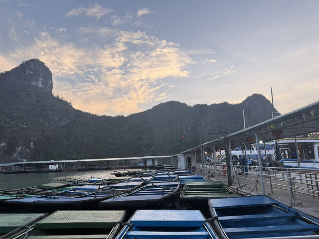 하롱베이 크루즈 투어, 자연이 만든 예술작품을 만나다🚢🌿