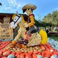 A Rustic Autumn Escape: My Visit to Junker Farm in Jona