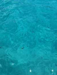 Tioman Island 3 days 2 night