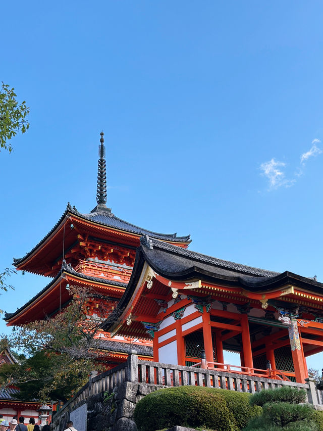🪆Kiyomizu-dera Temple Review: A Timeless Icon with a View to Remember