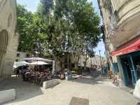 Avignon เมืองโบราณฝรั่งเศสตอนใต้ 
