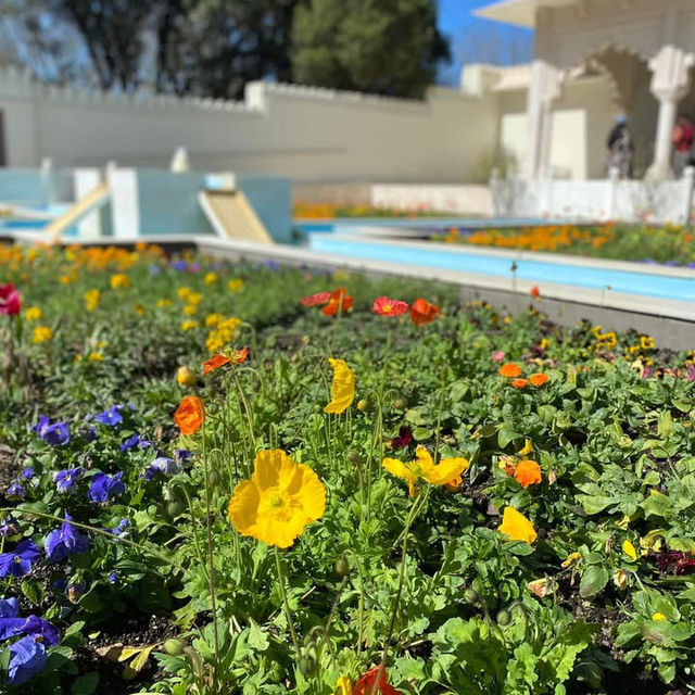 Garden Adventure – Hamilton Gardens in Full Bloom