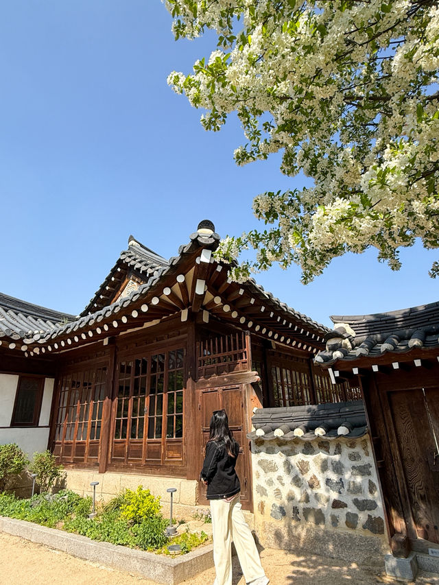 韓國景點🇰🇷好看又好吃的咖啡店☕️
