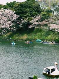 東京｜地鐵半藏門線｜紫藤色的都市脈動與文化交織