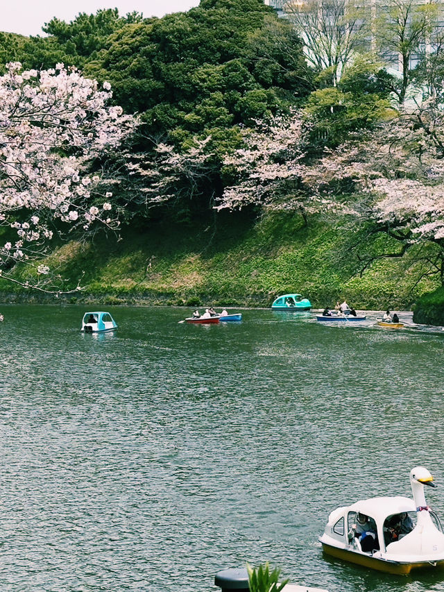 東京｜地鐵半藏門線｜紫藤色的都市脈動與文化交織