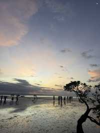 Sumba Tana Humba  (Tana Humba meaning Tanah Asli