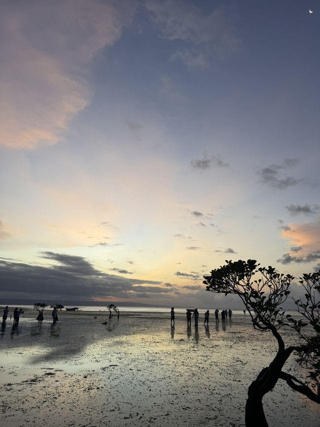 Sumba Tana Humba  (Tana Humba meaning Tanah Asli