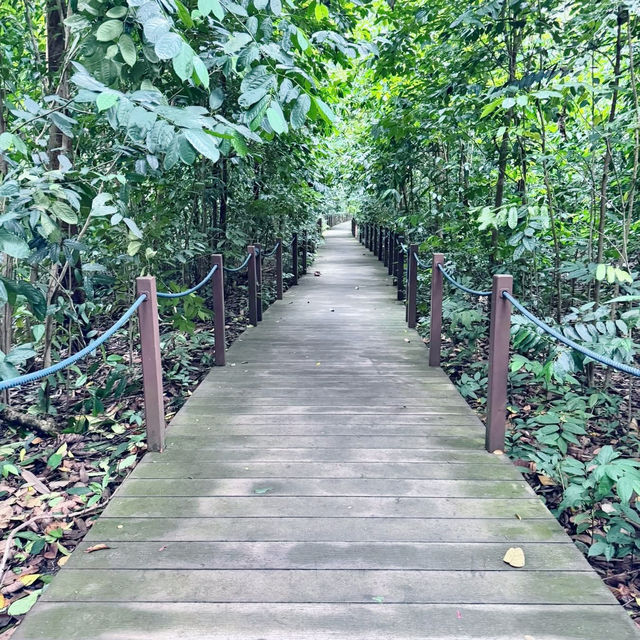 A Green Escape in the City: Singapore Botanic Gardens 🇸🇬