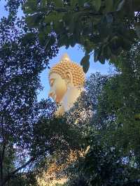 ทำไมถึงอยากให้ไปวัดปากน้ำภาษีเจริญ